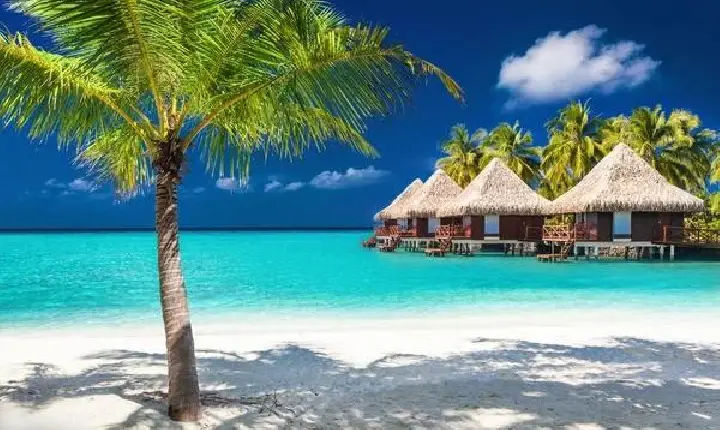 Vamos explorar tudo sobre Bora Bora: O Paraíso na Polinésia Francesa